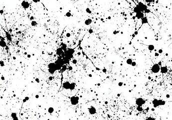 Obraz premium Abstract Black Ink Splatters on White Background