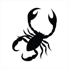 Black silhouette of a scorpion on a white background