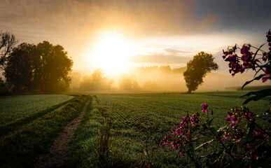 Die Sonne bricht an einem frischen Herbstmorgen durch den Morgennebel