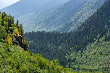 Fototapeta premium Breathtaking view of green mountains and valleys in Georgia, Caucasus