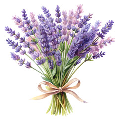 Fototapeta premium Watercolor bouquet of lavender flowers tied with a ribbon isolated on transparent background