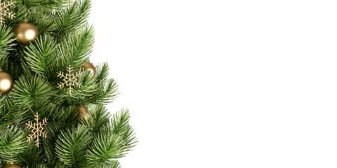 christmas tree branches with golden balls isolated on white