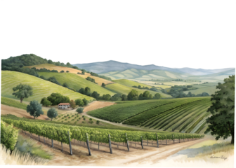 Watercolor painting of vineyard in napa valley isolated on transparent background