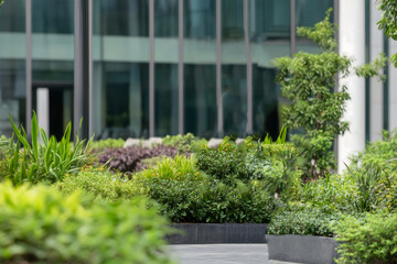 Man in suit walking with briefcase in front of building with greenery around him outside