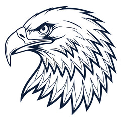 Detailed Bald Eagle Head Profile Line Art Illustration on White Background bird raptor