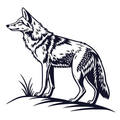Detailed Line Art Coyote Standing on Grassy Hill Facing Left canine wild dog
