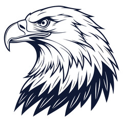 Fierce Bald Eagle Head Profile Line Art Illustration on White Background bird raptor