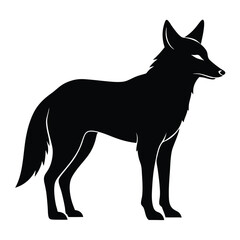 Silhouette of a standing coyote with sharp features and a bushy tail animal wild