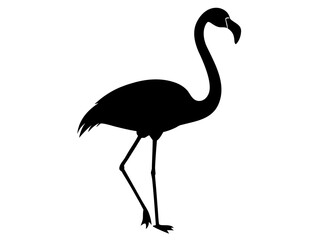 flamingo bird   black silhouette vector,flamingo icon
