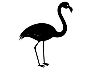 Fototapeta premium flamingo bird black silhouette vector,flamingo icon