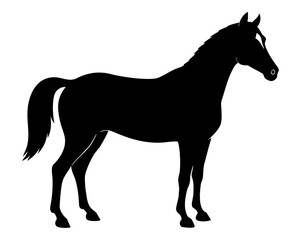 morgan horse  black silhouette vector,horse icon vector