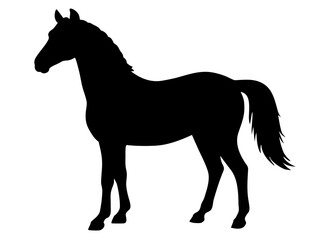 morgan horse  black silhouette vector,horse icon vector