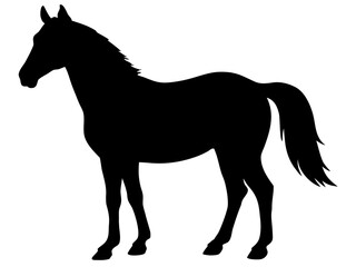 morgan horse  black silhouette vector,horse icon vector