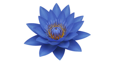 Fototapeta premium Blue lotus flower with golden center isolated PNG with Transparent Background