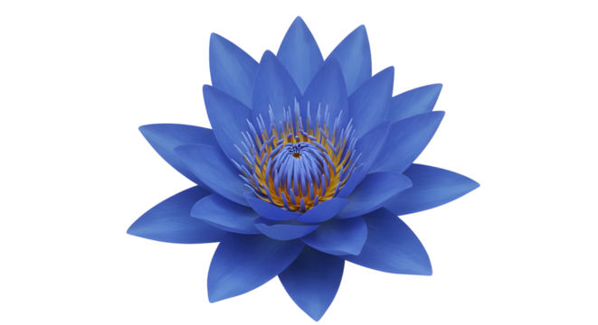 Blue lotus flower with golden center isolated PNG with Transparent Background