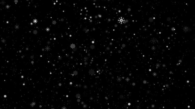 stars in the galaxy
