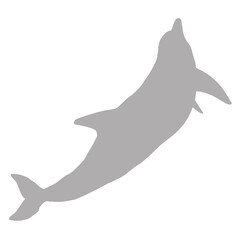 Grey dolphin leaping out of the water silhouette