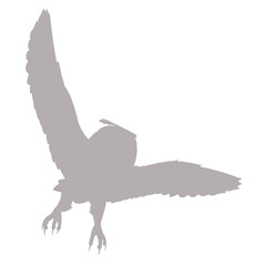 Majestic owl in flight silhouette