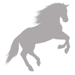 Majestic horse rearing up silhouette