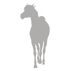 A light gray camel silhouette walking on a black background silhouette