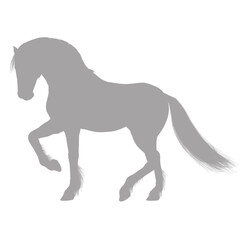 Elegant horse standing in profile silhouette