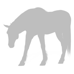 Gray horse silhouette standing still with head down silhouette