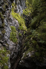 Hiking track in Vorderkaserklamm at St. Martin bei Lofer, Austria, Europe 
