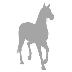 Elegant horse in motion silhouette
