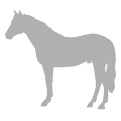 A detailed grey horse silhouette standing against a black background silhouette