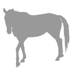 A striking grey horse silhouette standing against a black background silhouette