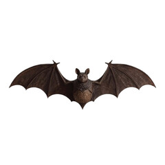 Fototapeta premium halloween bat