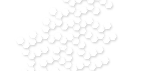Abstract dynamic and elegant geometric patterns of White Hexagon Background with Subtle Geometric Pattern for Modern, Minimal, Clean Design Layouts.