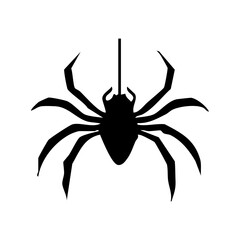 black spider icon