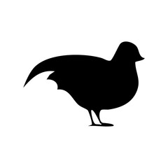 silhouette of a bird