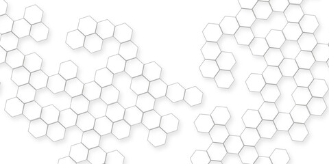 business concept abstract hexagon white abstract background with various arranging modern white hexagon patterns.