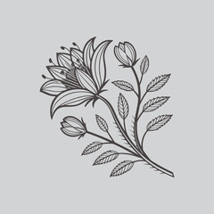 Nigella Decorative Black Blossom Vector