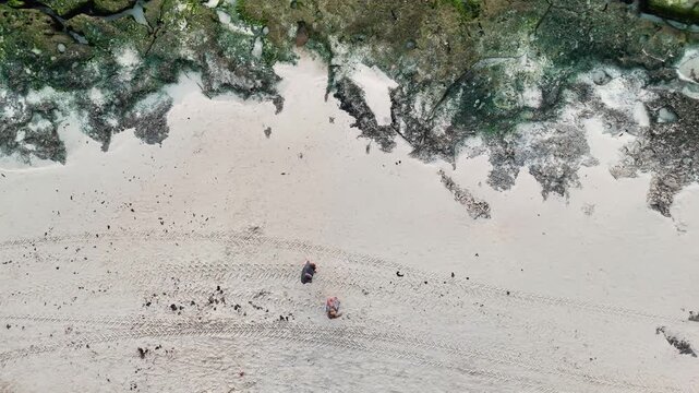 Overhead aerial follow showing two couples crossing paths on sandy beach with wheel tracks in Playa del Carmen, Mexico