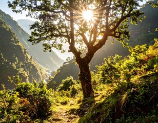 Fototapeta premium Sunlit mountain path