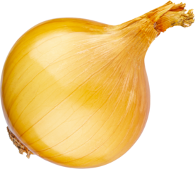 Onion bulb isolated