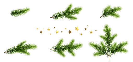 Set of Christmas Tree Branches with Golden Stars © Vicgmyr