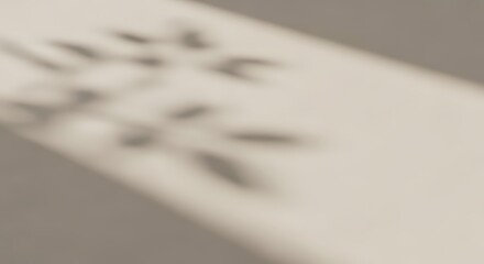 Gentle morning light creating a soft floral shadow on a neutral background.