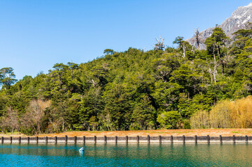 Puerto Blest, Lake Nahuel Huapi.Rio Negro Province, Patagonia, Argentina