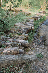 Obraz premium Forest logs neatly stacked along a rustic path in woodland, soft natural daylight enhances the textures and greenery, tranquil atmosphere, focus on cut timber in foreground