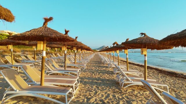 Playa de Muro, Mallorca. Tranquil beach scene unfolds with rows of sun loungers and thatched umbrellas, inviting relaxation under the clear blue sky and gentle waves lapping at the shore