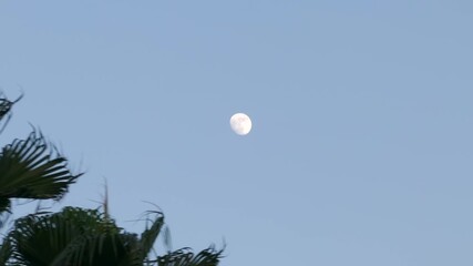 An almost full moon shines bright in the sky above Coronado, California
