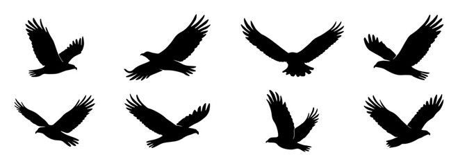 Set of black eagle silhouette. Vector illustration isolated on white.