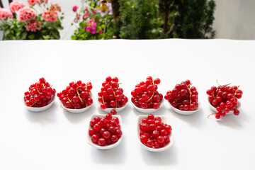 Close-up of red currants in small white bowls on a minimal white background. Fresh organic berries arranged with attention to detail.