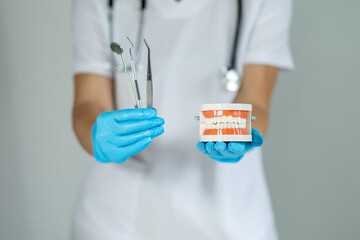 Dentist demonstrating tools and dental model while wearing gloves in a clinical setting