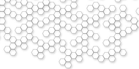 abstract modern and business concept White Hexagonal Background Luxury White Patterns, Hexagon background for networking, technology, business and science related works.