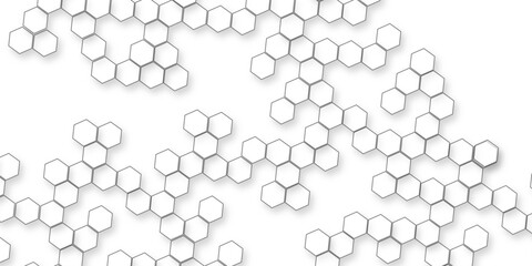 abstract modern and business concept White Hexagonal Background Luxury White Patterns, Hexagon background for networking, technology, business and science related works.